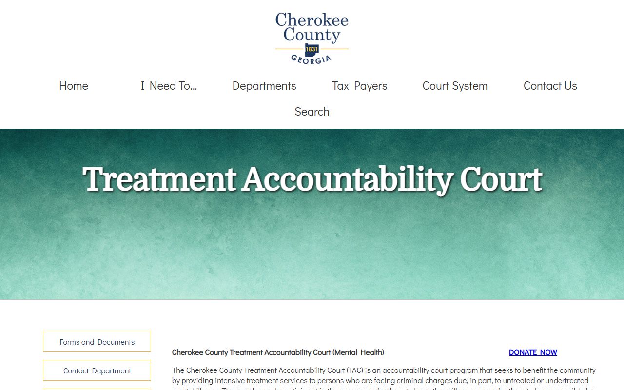 Cherokee County Superior Court Treatment Accountability Court program purpose page court records